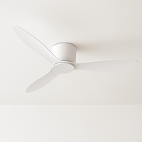 Modern ceiling fan without light with remote control