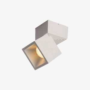 Irma adjustable angle cubic design spotlight
