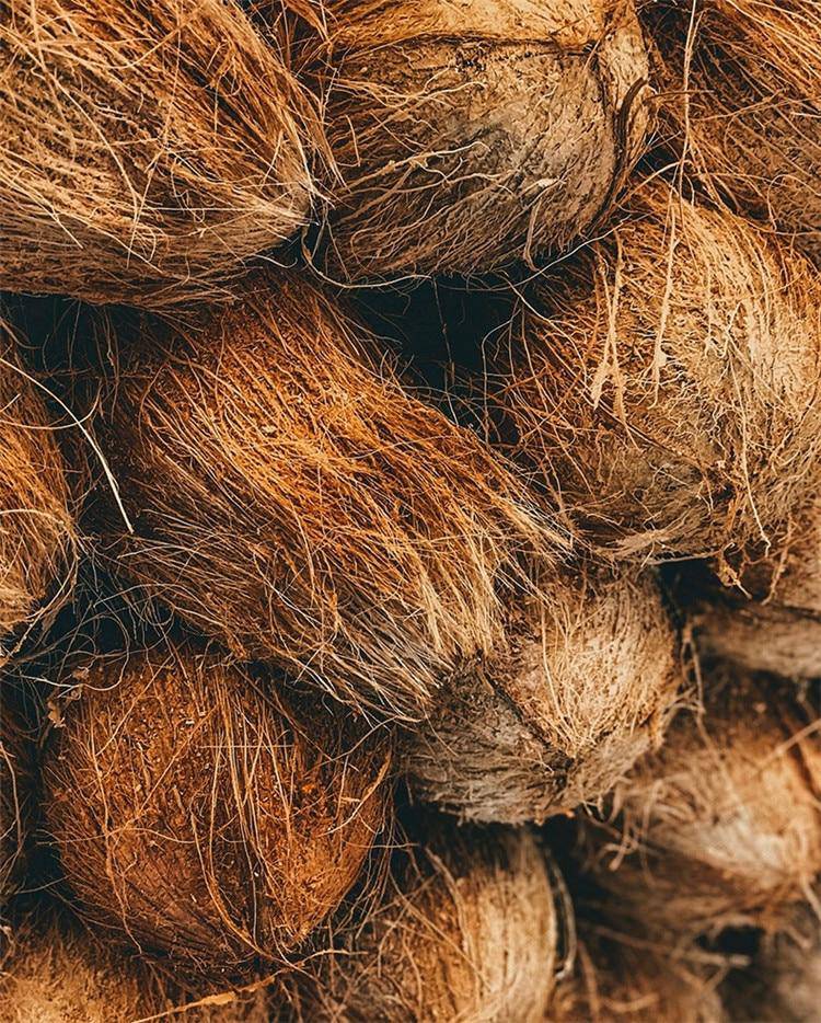 Paillasson rectangle en fibres naturelles marrons Mat