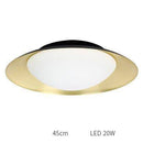 Plafonnier moderne LED avec abat-jour arrondi et boule lumineuse